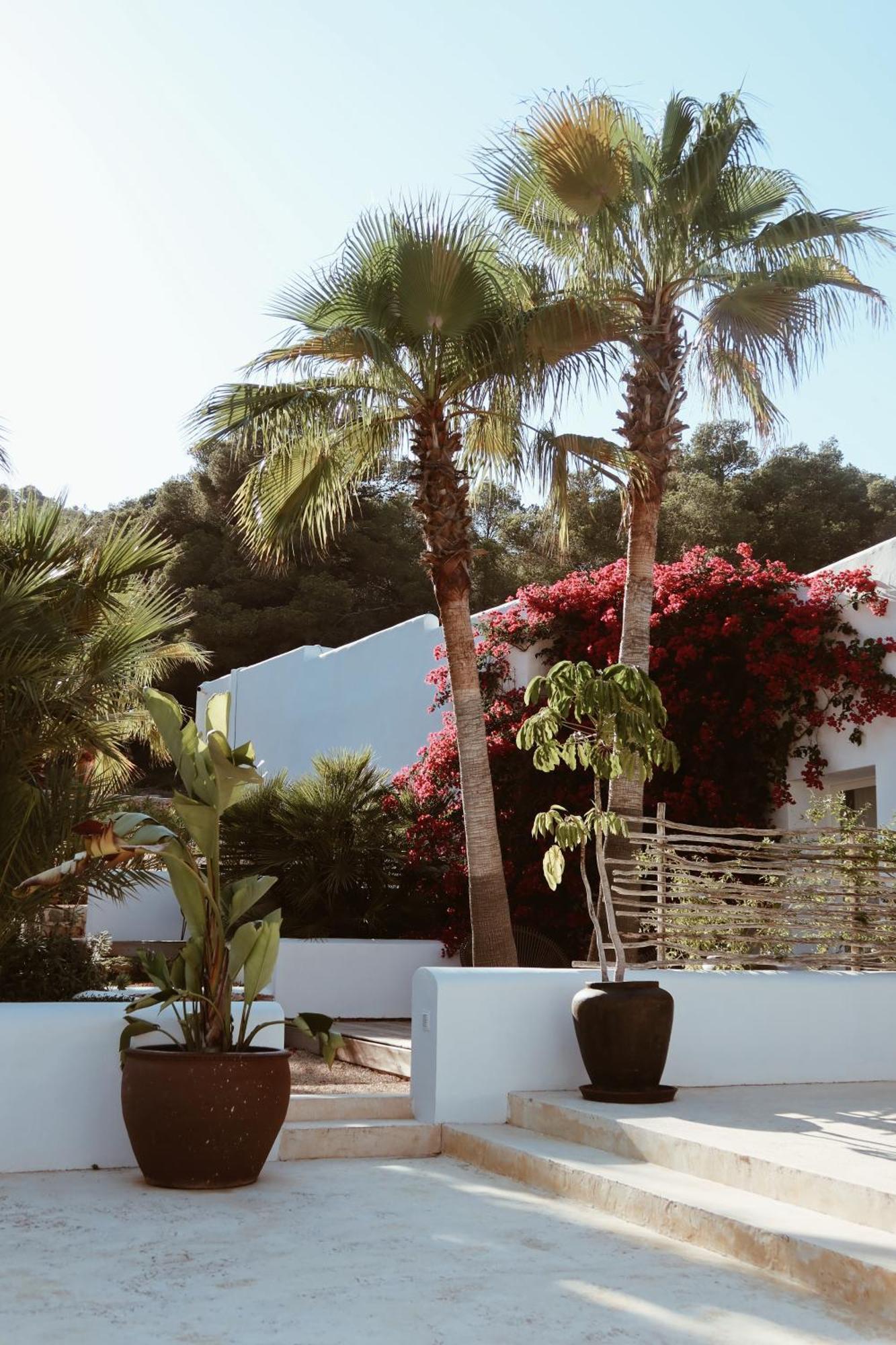 Pure House Ibiza Hotel Sant Jordi de ses Salines Ngoại thất bức ảnh