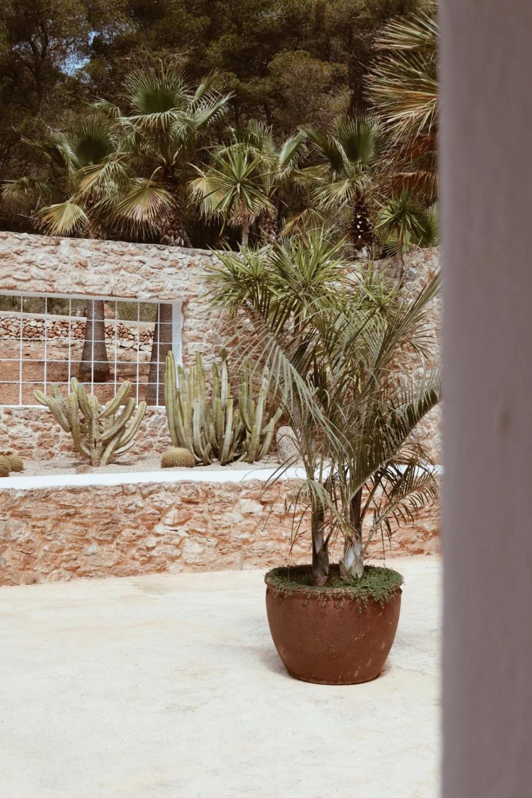 Pure House Ibiza Hotel Sant Jordi de ses Salines Ngoại thất bức ảnh