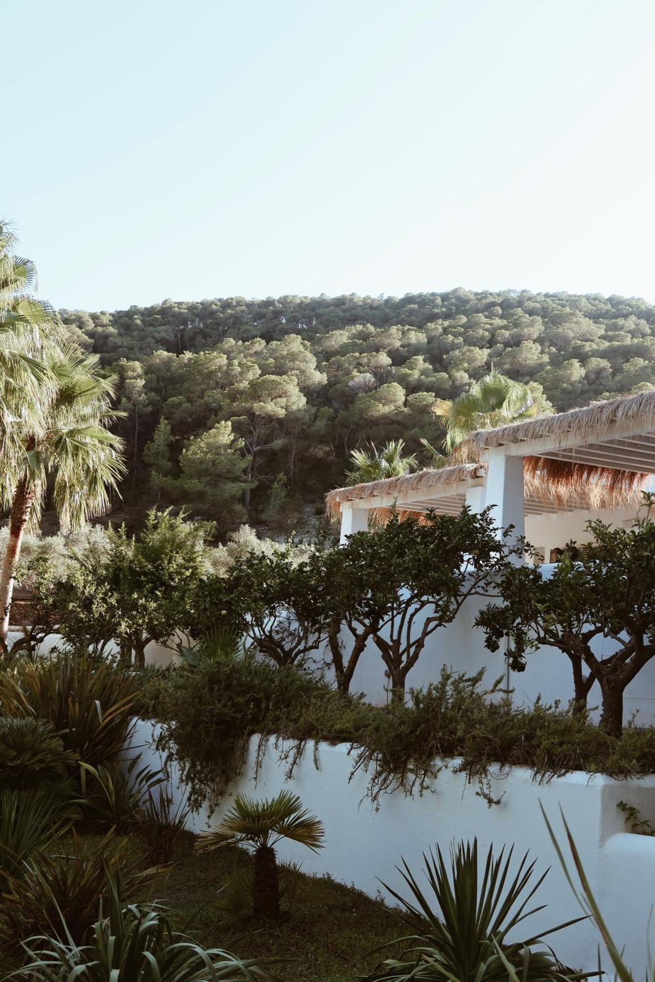 Pure House Ibiza Hotel Sant Jordi de ses Salines Ngoại thất bức ảnh