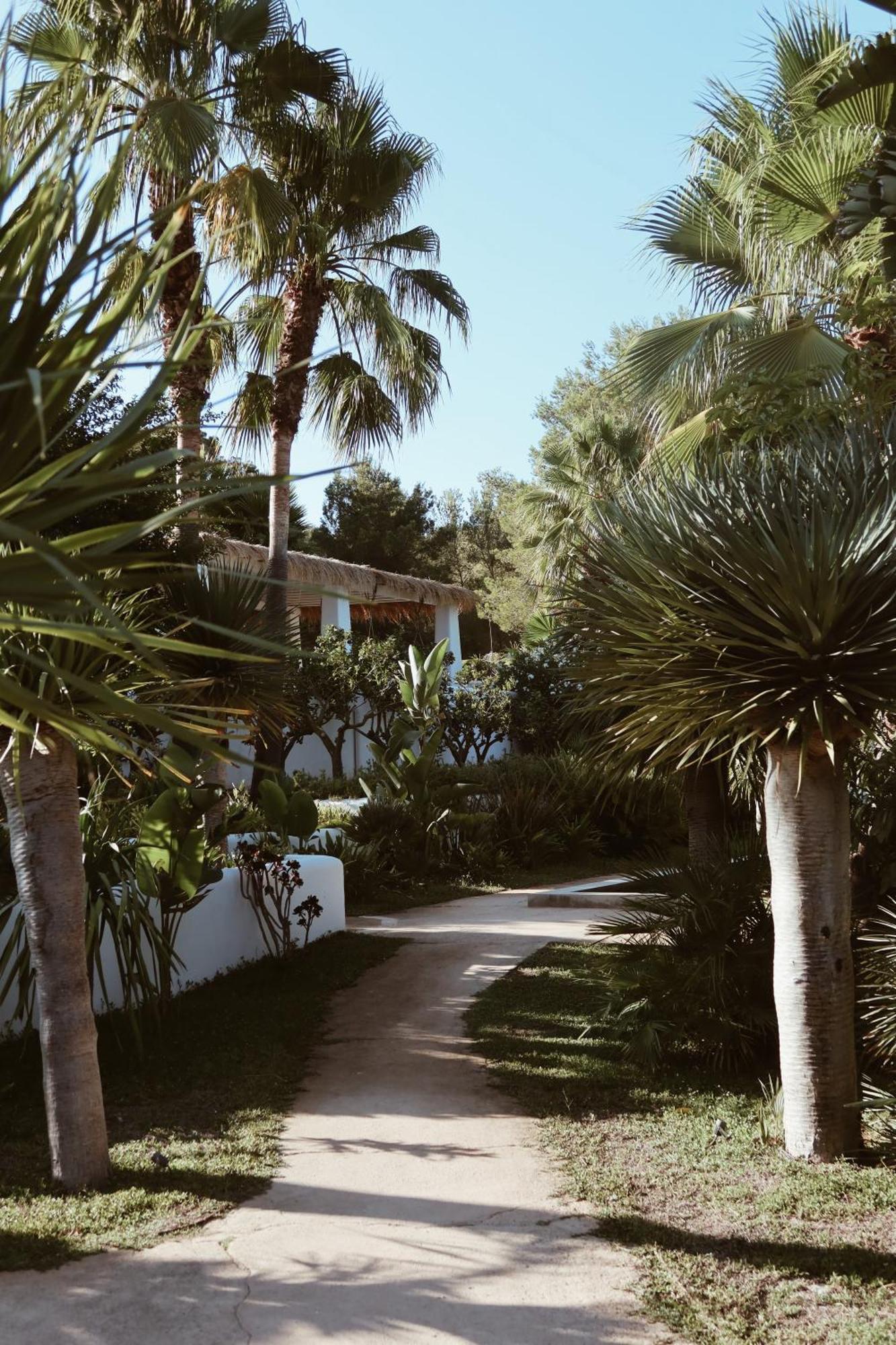 Pure House Ibiza Hotel Sant Jordi de ses Salines Ngoại thất bức ảnh